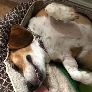 Meet your Posher, Dalinda